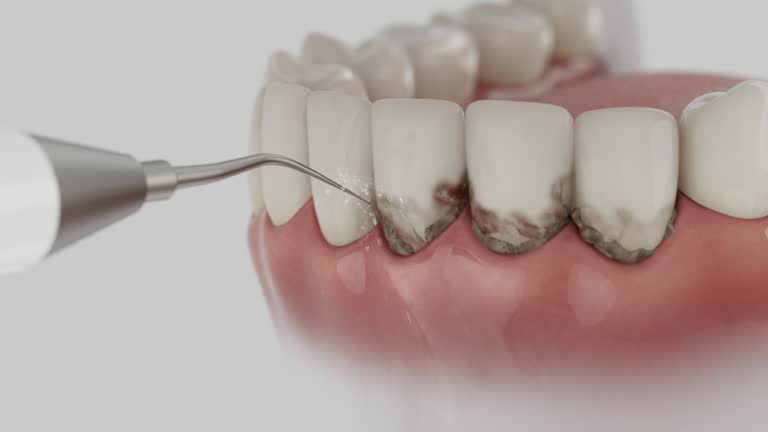 Reliable Dental contractor in Brigantine, NJ by Dentist Open Now